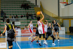 Alma Patti
