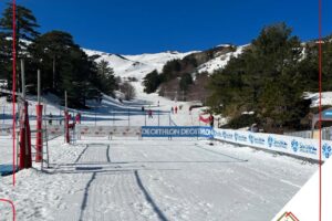 Snow Volley