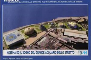 Acquario 