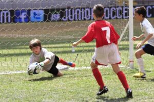 portiere