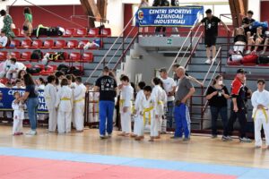 Kashin Karate Pullia