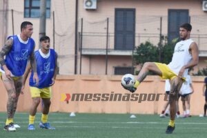 Pacciardi. Cavallo e Polito 