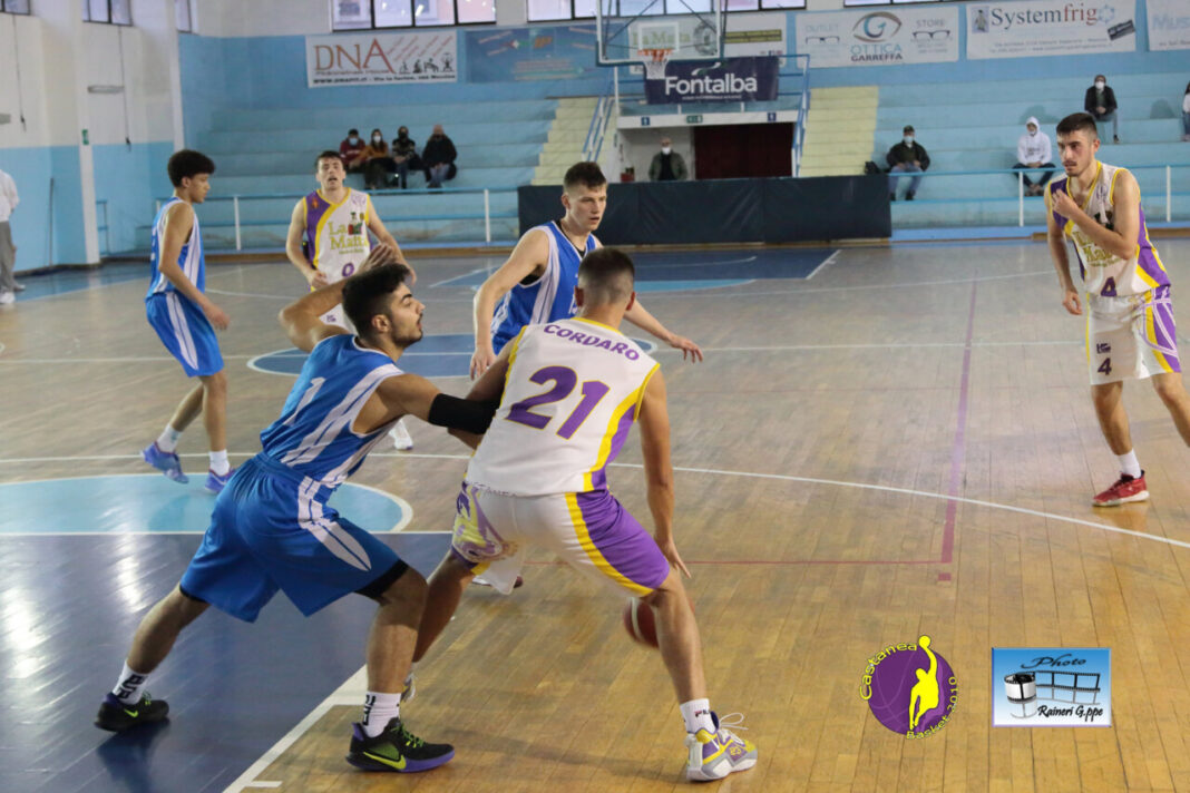 Castanea Basket