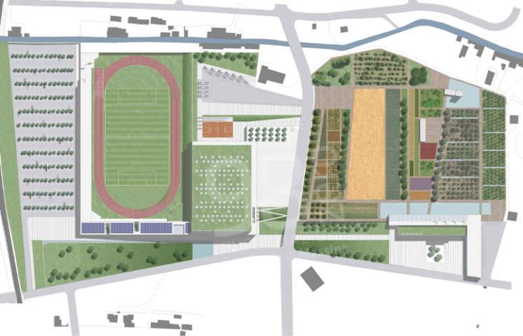 Palasport