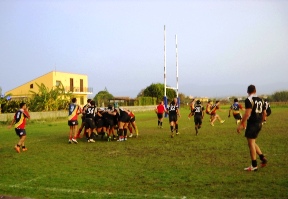 Fir Sicilia