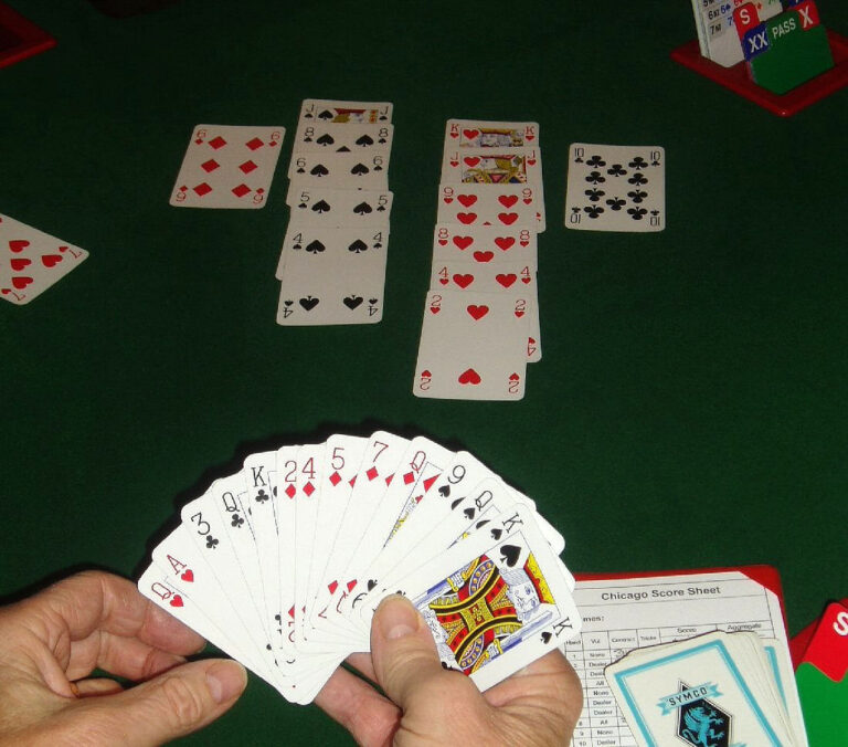 8 Marzo, la Federazione Italiana Gioco Bridge omaggia lezioni base a tutte le donne