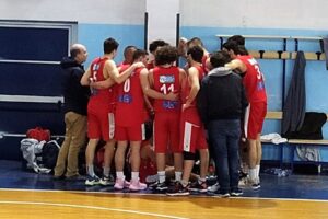 Orsa Barcellona