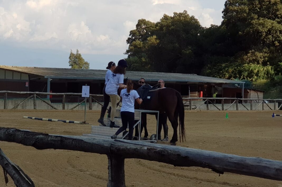 Equitazione