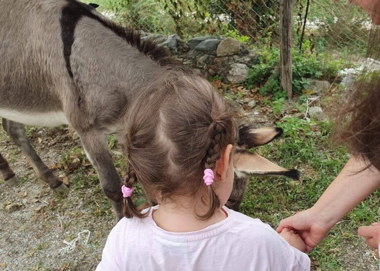 “Piacere, sono Dumbo”. La “Fattoria delle Carezze” incontra i suoi piccoli amici