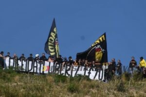Testi Fracidi