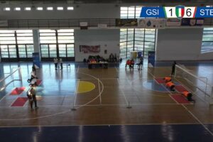 Torball