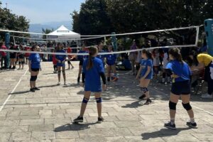 Volley S3