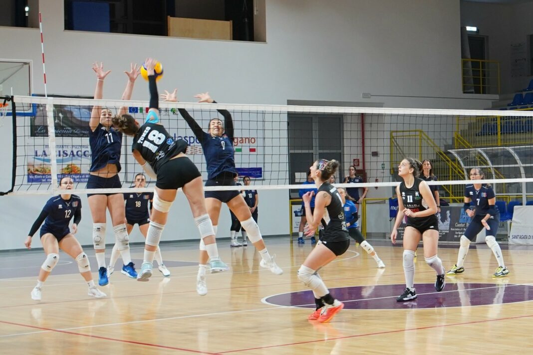 Saracena Volley