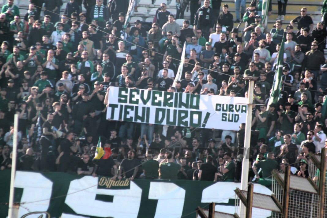 Avellino