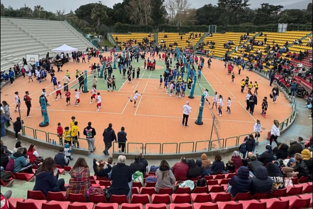 Fipav Messina