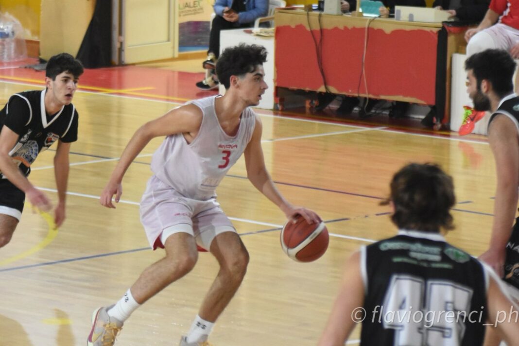Nova Basket