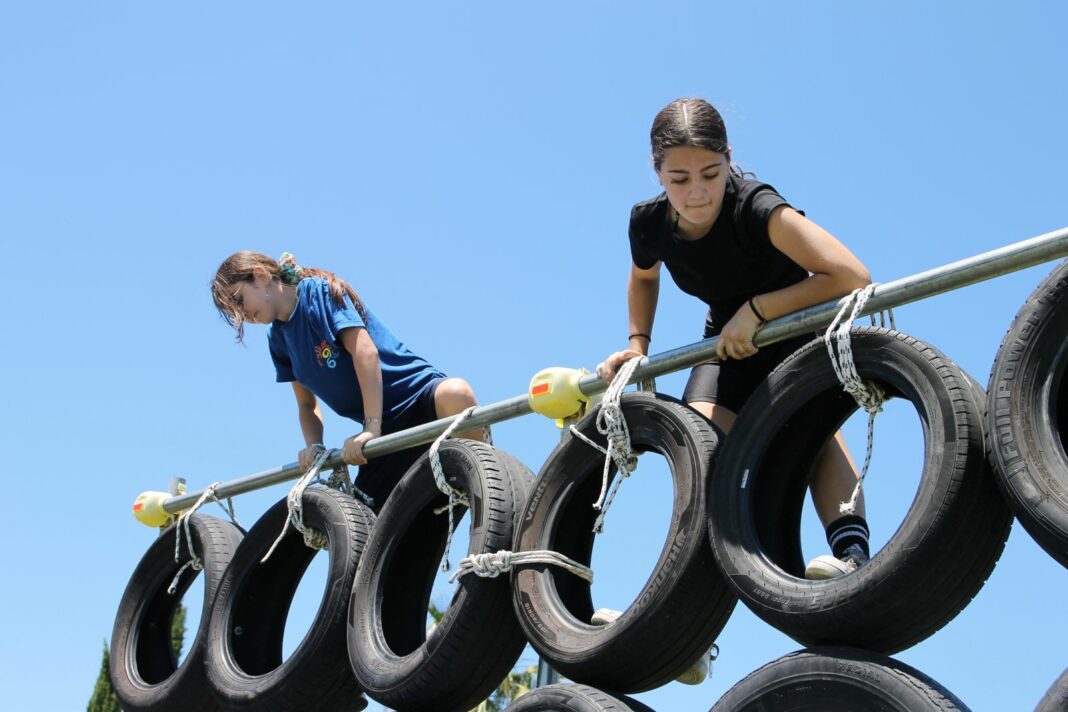 Ocr Sharks