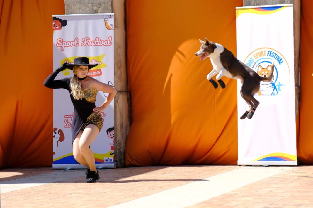 Dog & Family Sport Festival