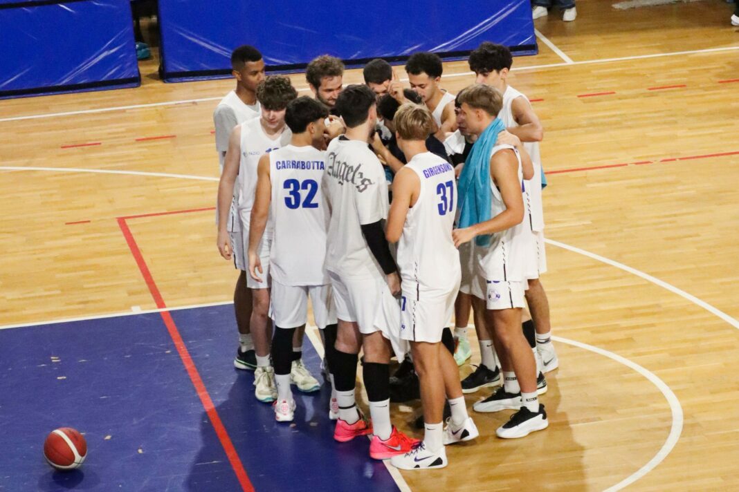 Nova Basket