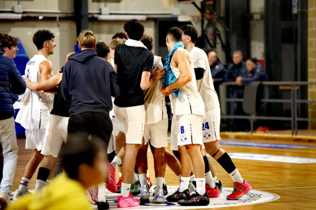 Nova Basket