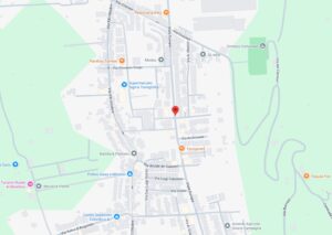 mappa 133-2021