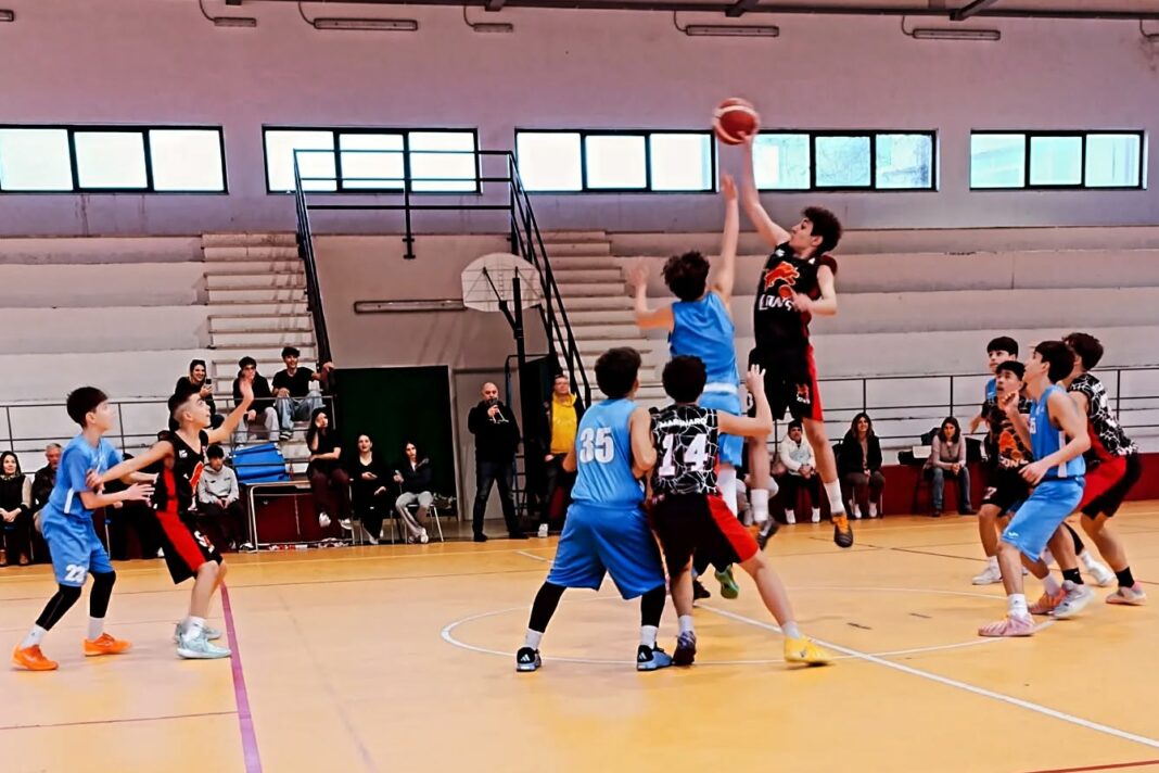 Lions Messina